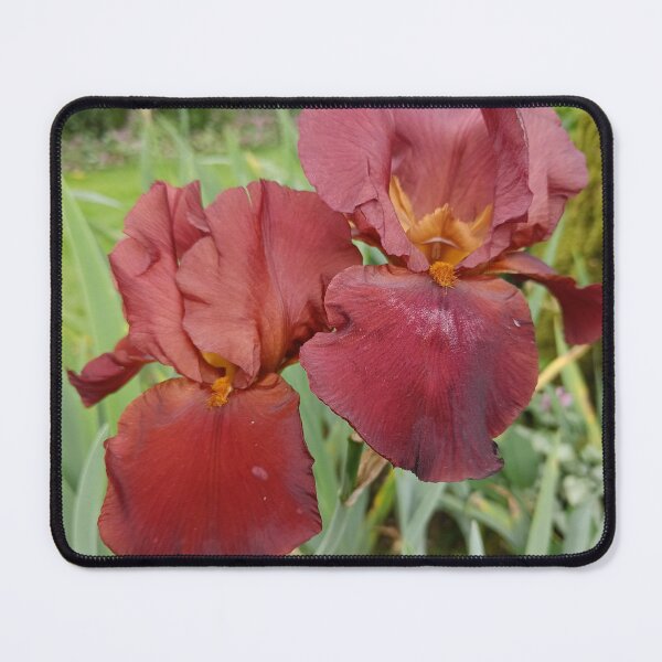 Item preview, Dusty irises designed and sold by Oubaitory.