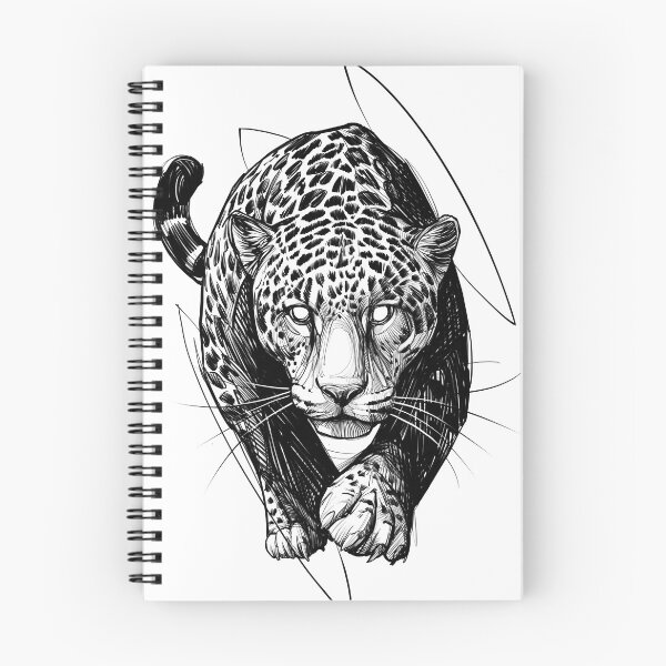 Item preview, Focus designed and sold by LecoLA.