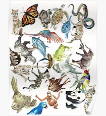 Interconnected Endangered Species Poster