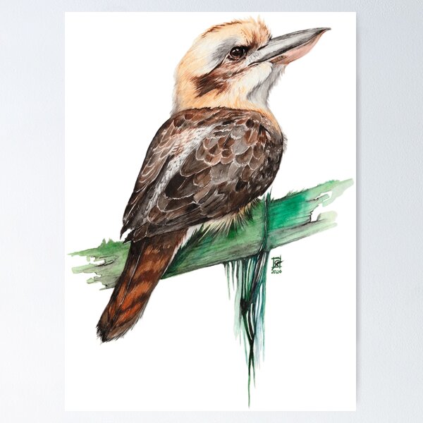 Item preview, Kookaburra Watercolor designed and sold by camarocaro.