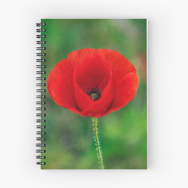 Item preview, Crimson Whispers designed and sold by Tom McPherson Photography.
