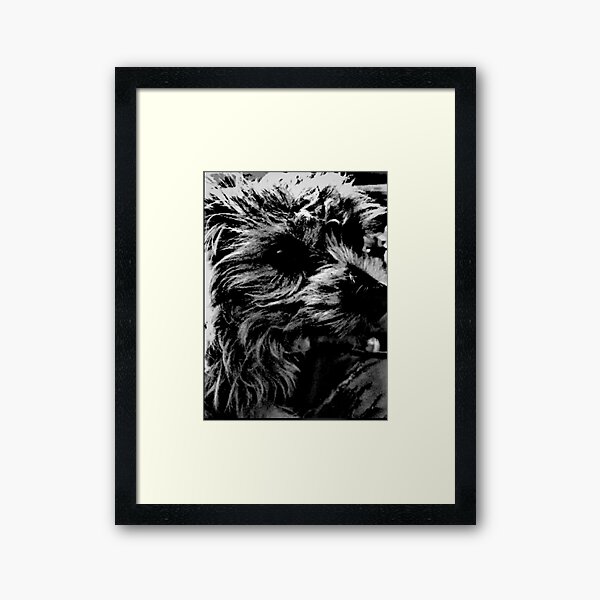 The Eye  Framed Art Print