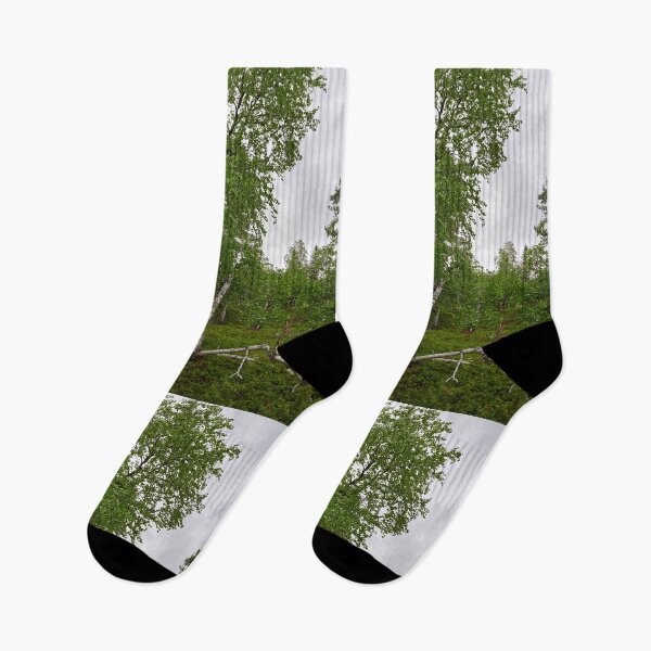 Item preview, Twisting. Mountain Birch designed and sold by Jouko Lehto Photography.