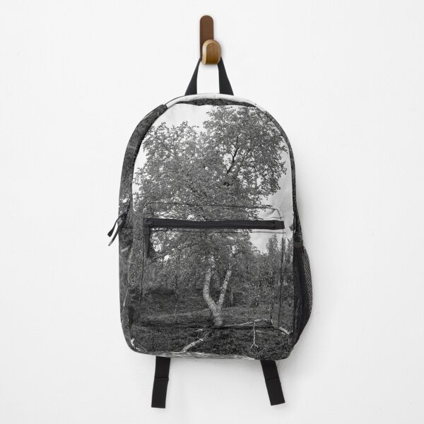Item preview, Twinsting. Mountain Birch bw designed and sold by Jouko Lehto Photography.
