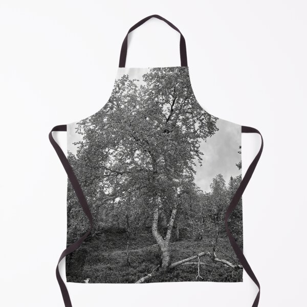 Item preview, Twinsting. Mountain Birch bw designed and sold by Jouko Lehto Photography.