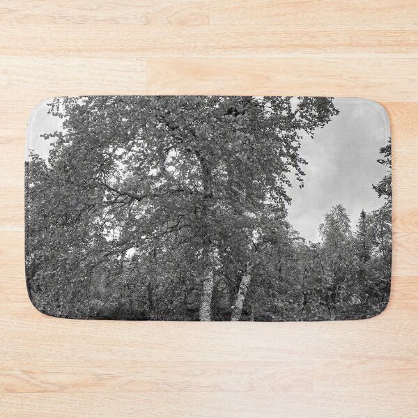 Item preview, Twinsting. Mountain Birch bw designed and sold by Jouko Lehto Photography.