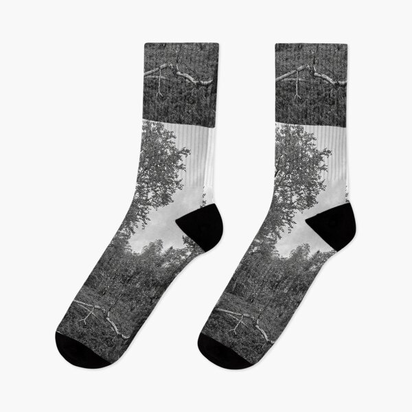 Item preview, Twinsting. Mountain Birch bw designed and sold by Jouko Lehto Photography.