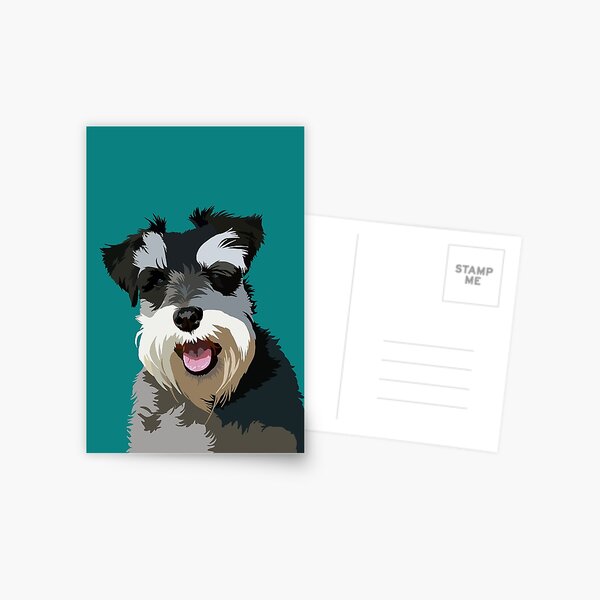 Zwergschnauzer Postkarte