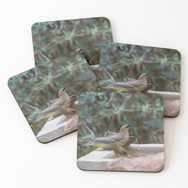 Item preview, Cedar Waxwings at the Watering Hole  designed and sold by Debra Martz.