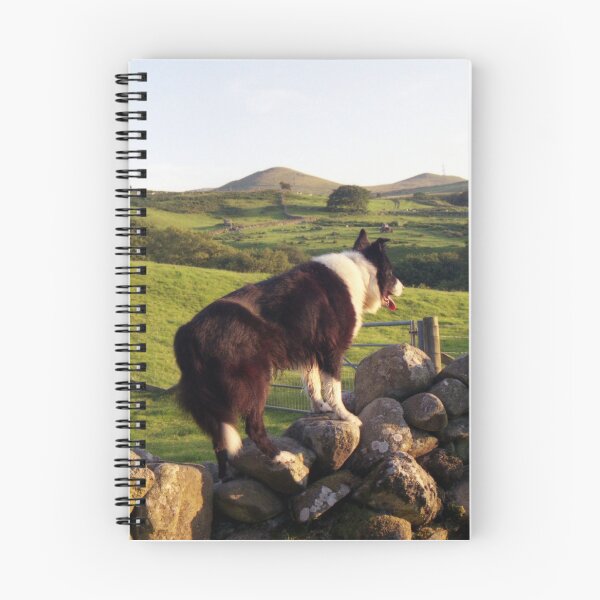 Item preview, "This is the life" designed and sold by Michael Haslam.