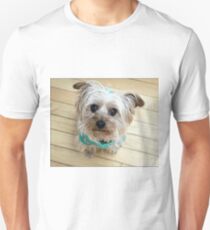 Sox Looking At You Slim Fit T-Shirt