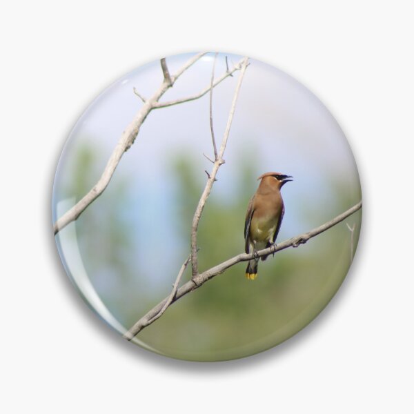Item preview, Colorado Cedar Waxwing designed and sold by JustBirdThings.