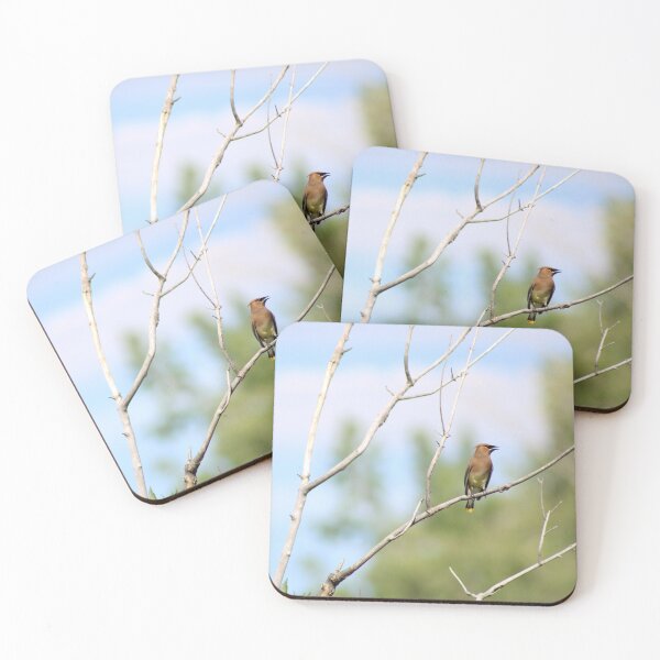 Item preview, Colorado Cedar Waxwing designed and sold by JustBirdThings.