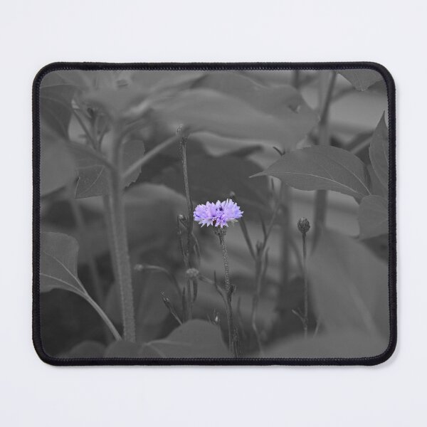 Item preview, Color Isolation of Cornflower  designed and sold by Cblifeisgood.