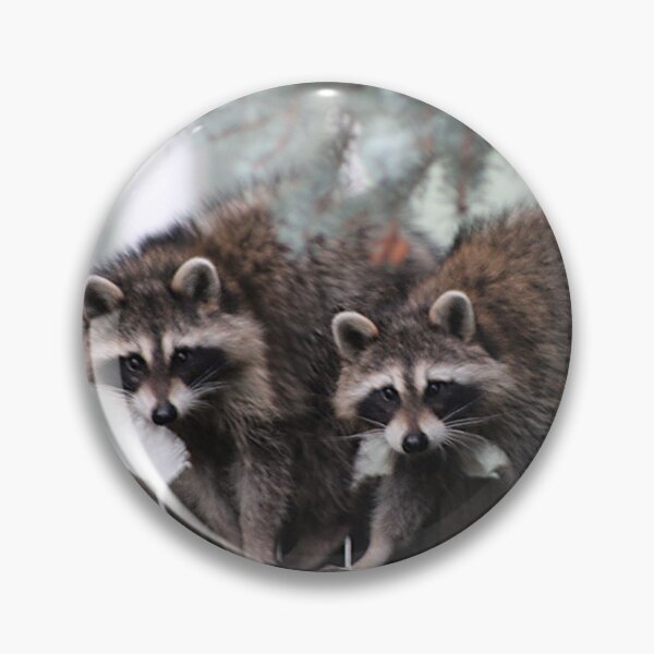 Item preview, Pair of Racoons designed and sold by JustBirdThings.
