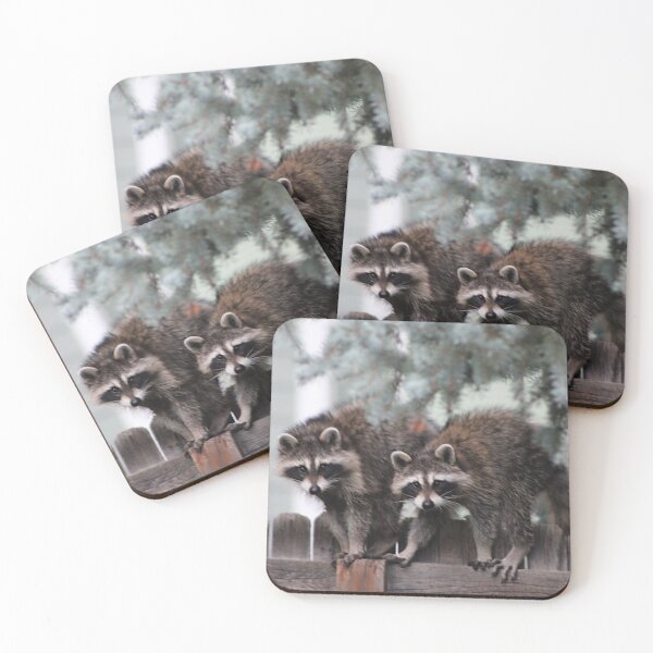 Item preview, Pair of Racoons designed and sold by JustBirdThings.