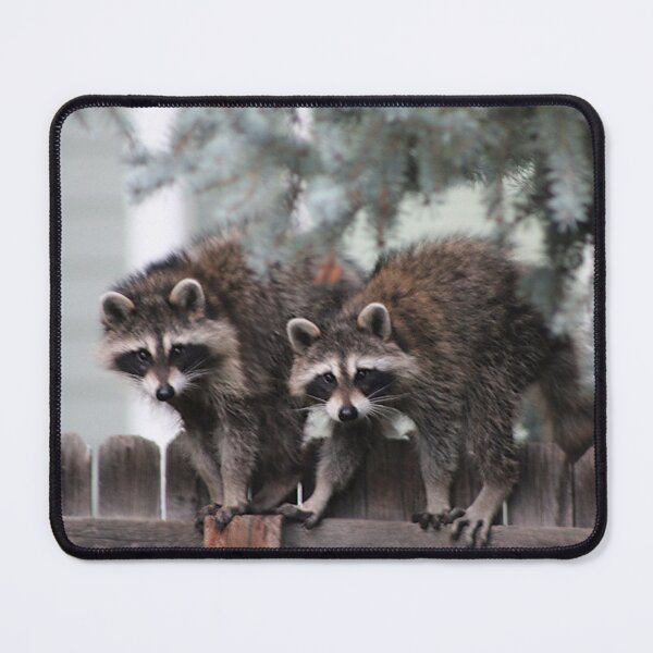 Item preview, Pair of Racoons designed and sold by JustBirdThings.