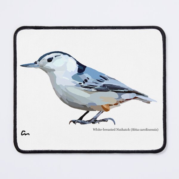 Item preview, White-breasted Nuthatch designed and sold by ChrisBManos.