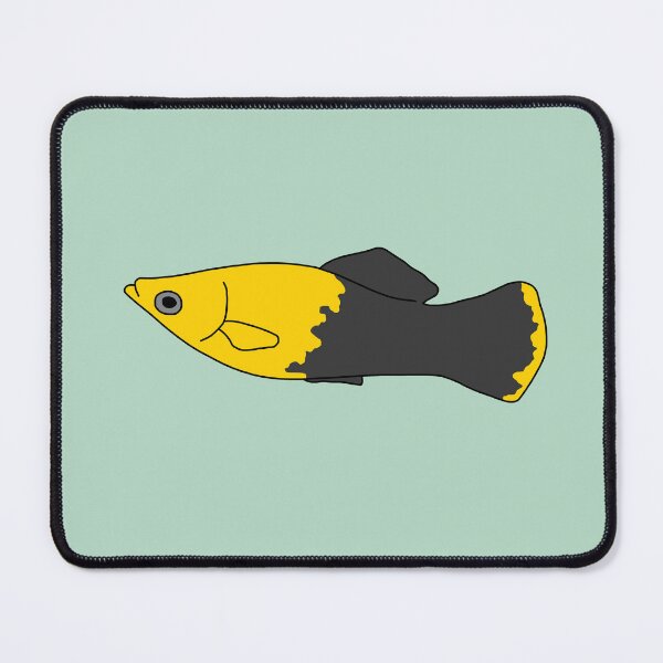 Item preview, Gold Doubloon Molly Fish designed and sold by taylorrowan.