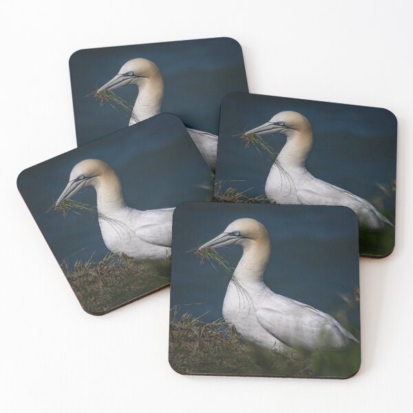 Item preview, Gannet Collecting Nesting Material designed and sold by Incakola1.