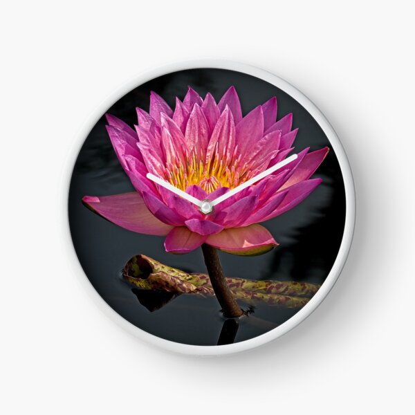 Item preview, pink lily on water designed and sold by photos-by-joel.