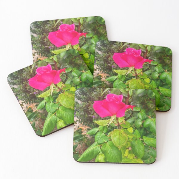Item preview, A Single Rose designed and sold by dawnsm.