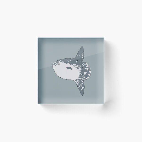 Item preview, Mola Mola designed and sold by taylorrowan.
