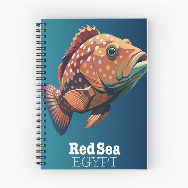 Item preview, Red Sea Grouper Egypt - Grouper designed and sold by BelleRiviera.
