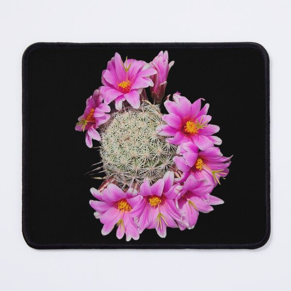 Item preview, Bright pink pincushion cactus with flowers designed and sold by Creative Endeavors ..