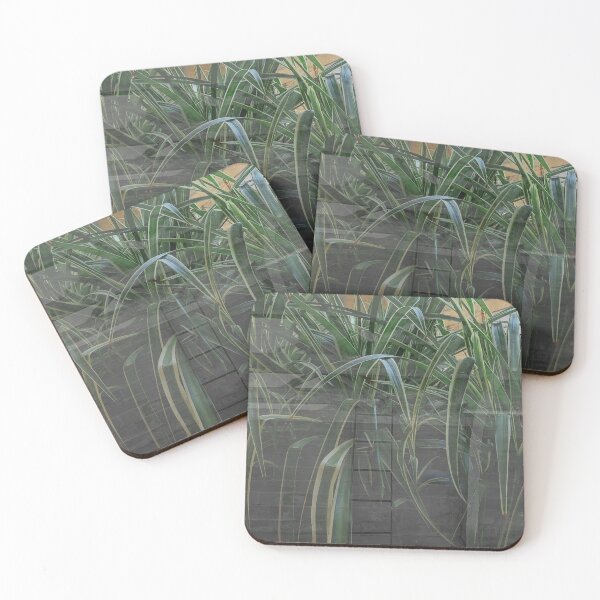 Item preview, Plants in a pool! designed and sold by dawnsm.