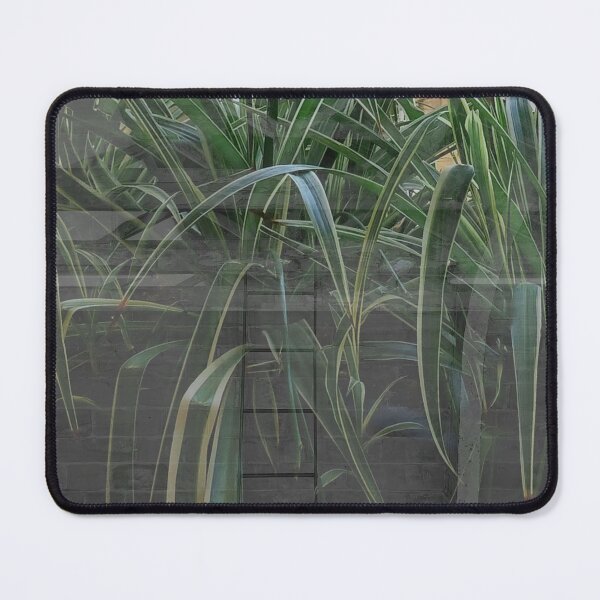 Item preview, Plants in a pool! designed and sold by dawnsm.