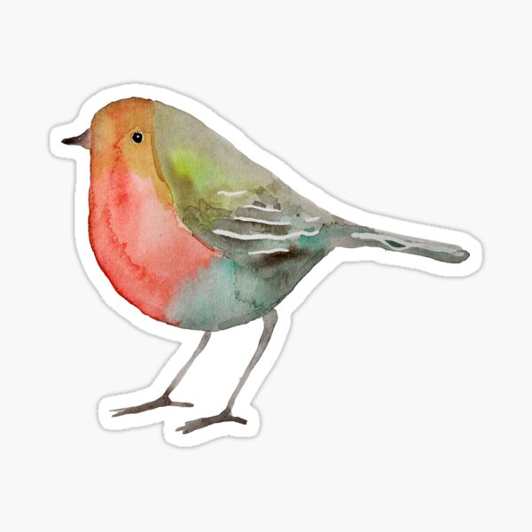 Rotkehlchen / Robin Sticker