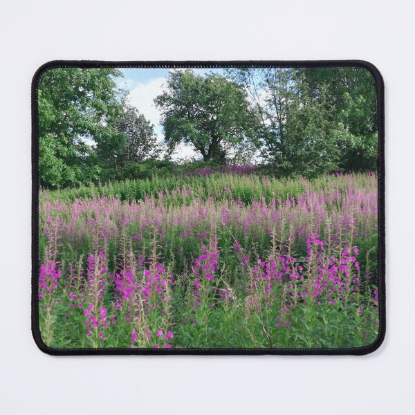 Item preview, Rosebay Willowherb meadow photograph designed and sold by esvb.