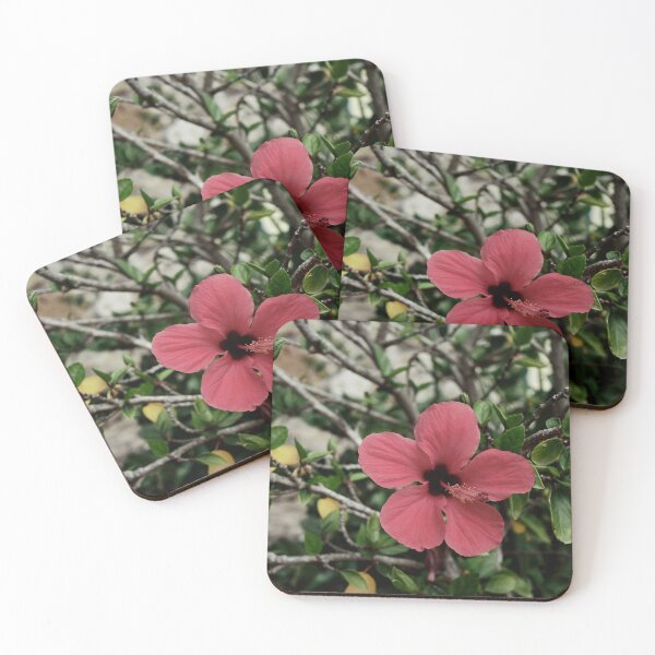 Item preview, Spain, Marimurtra designed and sold by rrroza.