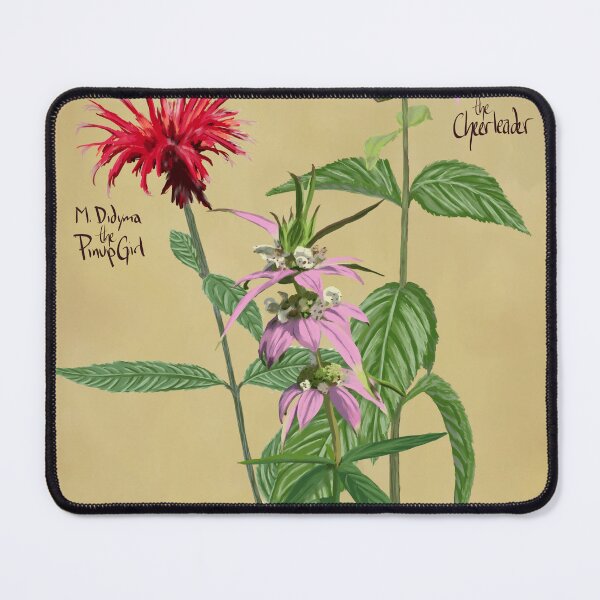 Item preview, the Monarda Sisters designed and sold by PollinateBarrie.