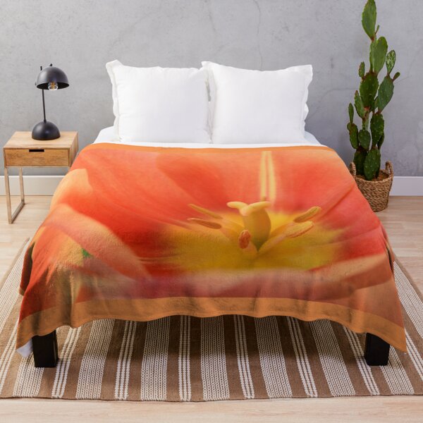 Item preview, Tulipa 'Impresionante albaricoque' Single Late Tulip designed and sold by Chris Burrows.