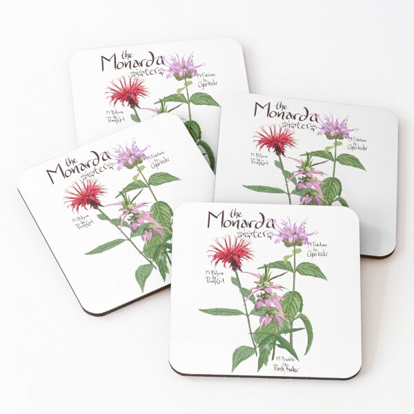 Item preview, Monarda sisters transparent designed and sold by PollinateBarrie.