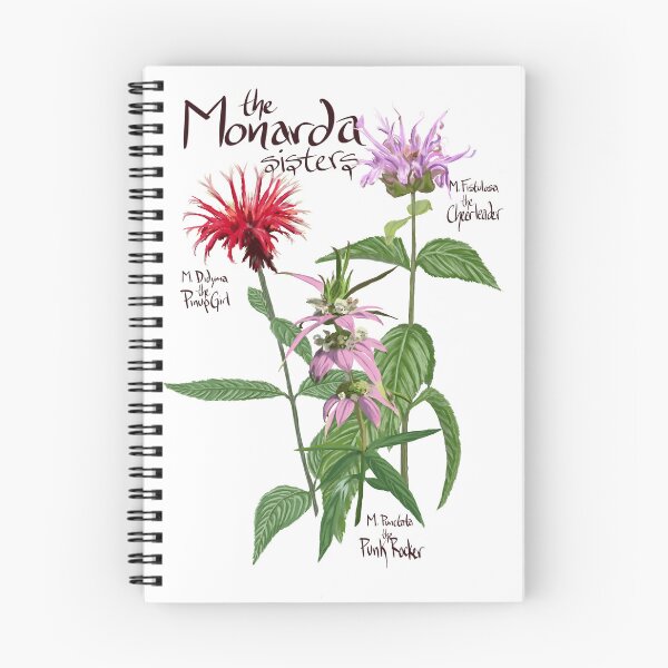 Item preview, Monarda sisters transparent designed and sold by PollinateBarrie.