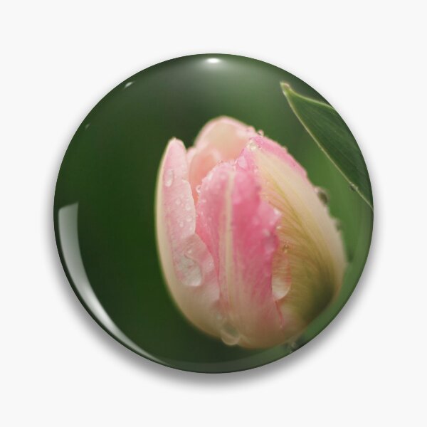 Artikelvorschau, Vom Regen nasse Tulpe entworfen und verkauft von lpphotographe.