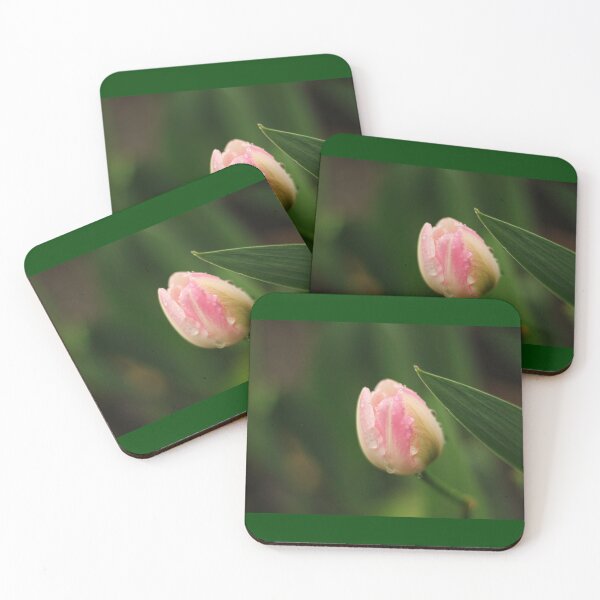 Artikelvorschau, Vom Regen nasse Tulpe entworfen und verkauft von lpphotographe.