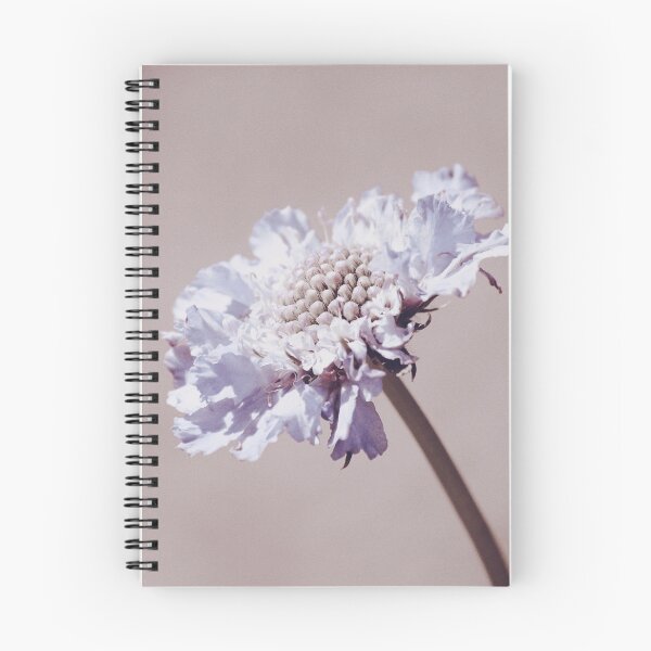 Item preview, Purple Pincushion Flower designed and sold by FeatherfallSTU.
