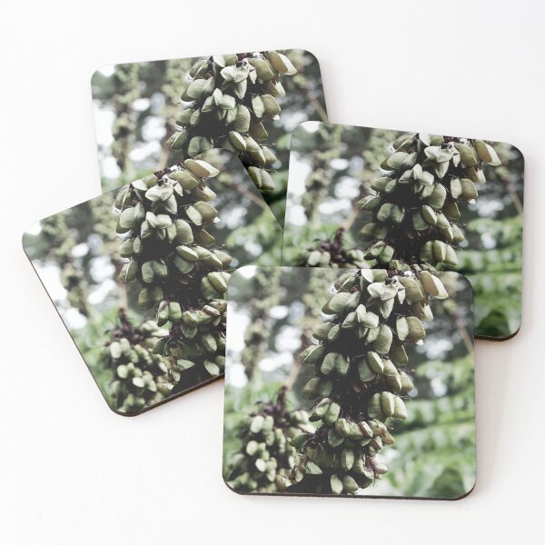 Item preview, Spain, Marimurtra botanical garden designed and sold by rrroza.