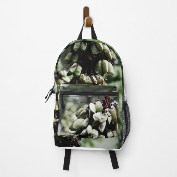 Item preview, Spain, Marimurtra botanical garden designed and sold by rrroza.