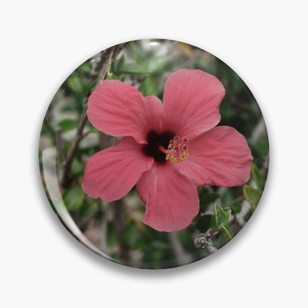 Item preview, Spain, botanical garden Marimurtra designed and sold by rrroza.