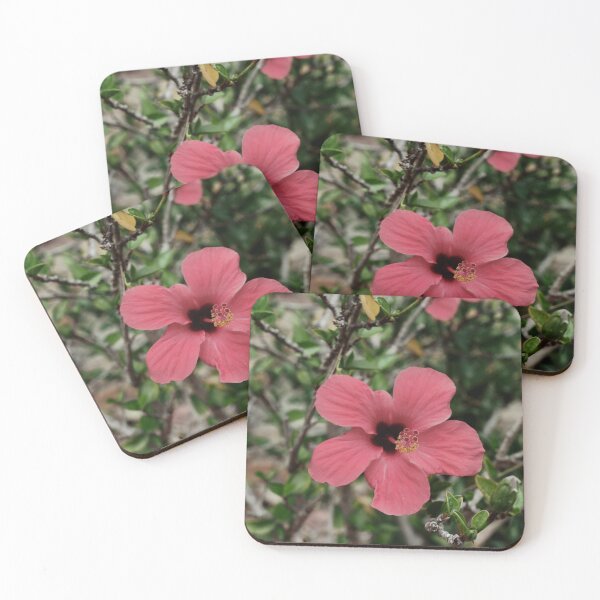 Item preview, Spain, botanical garden Marimurtra designed and sold by rrroza.