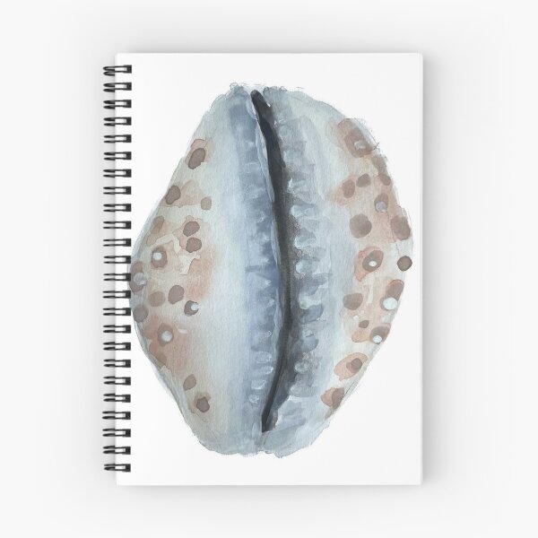 Item preview, Cowry Seashell designed and sold by therosiegarden.