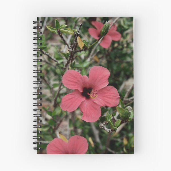 Item preview, Spain, botanical garden Marimurtra designed and sold by rrroza.