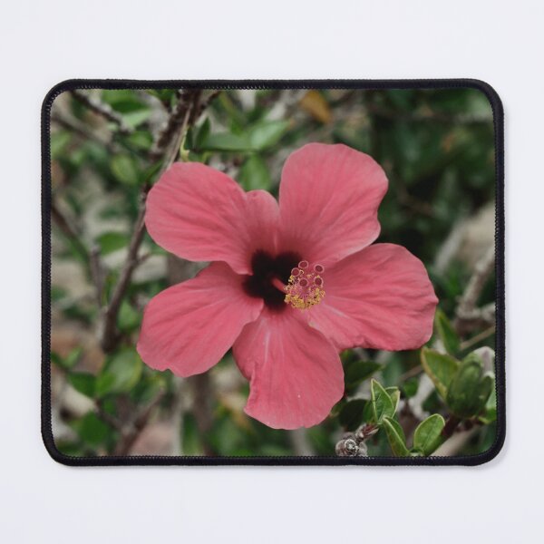 Item preview, Spain, botanical garden Marimurtra designed and sold by rrroza.