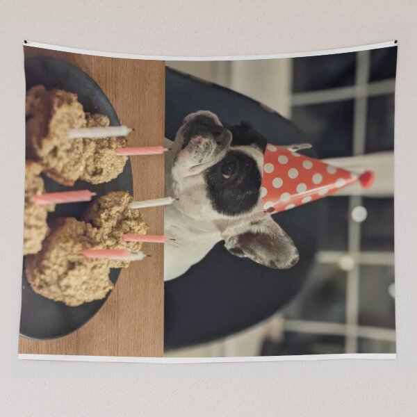 Artikelvorschau, Französische Bulldogge feiert ihren Geburtstag entworfen und verkauft von SpikeWear.