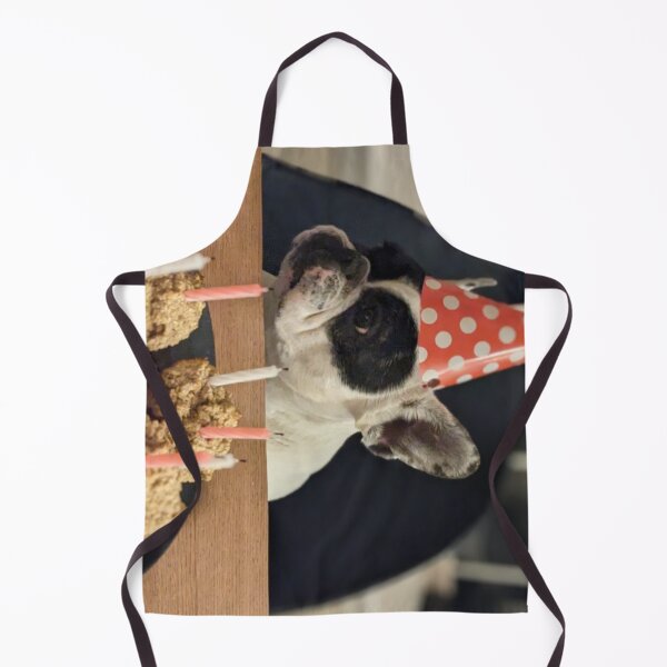 Artikelvorschau, Französische Bulldogge feiert ihren Geburtstag entworfen und verkauft von SpikeWear.